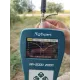 Телескопическая антенна для раций Motorola DP4400, DP4400e, DP4800e, DP4800, R7